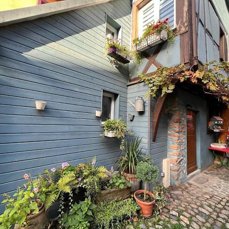 Gite Le 70 A Turckheim, 10 Min Colmar Eksteriør billede
